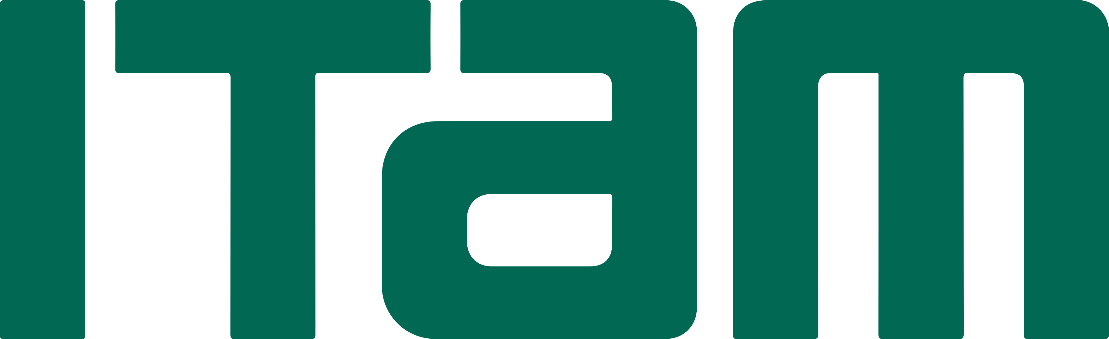 Logo of ITAM